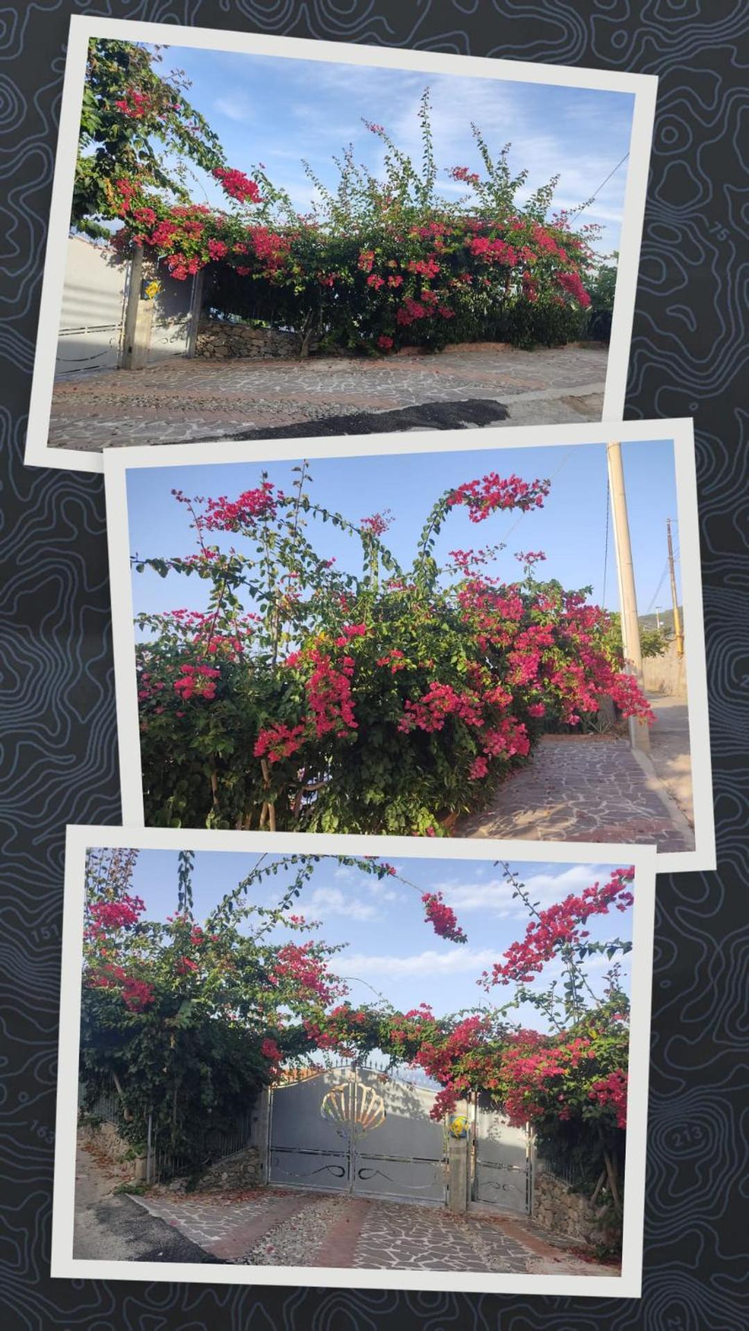 La Perla Di Buffari Ciappina Holiday home